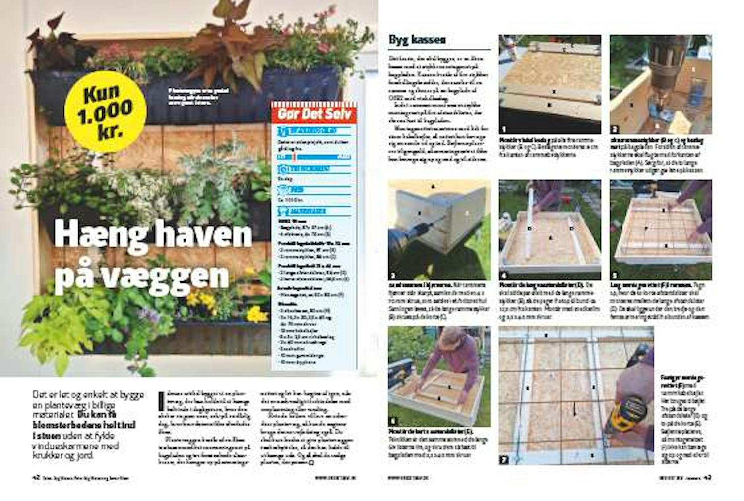 Plantevæg Plantevæg diy